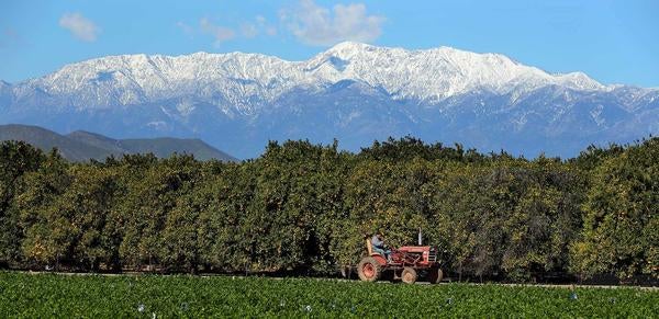 Agricultural Operations tractor and snowcapped mountains (c) UCR / Stan Lim 2019