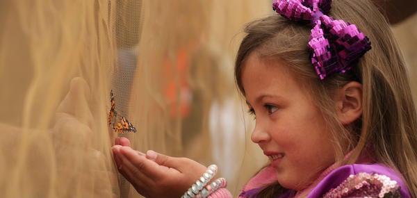 Girl catching a butterfly at Riverside Science Fair (c) UCR / Stan Lim 2019