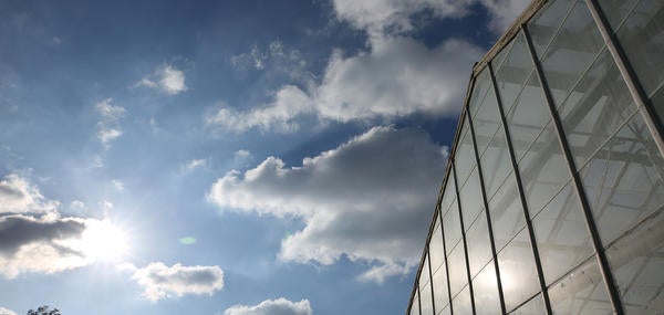 Greenhouse and clouds, (c) UCR / Stan Lim