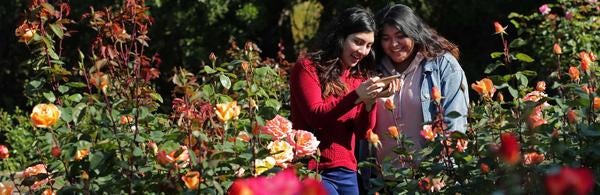 UCR Botanic Gardens, two students in the Rose Garden