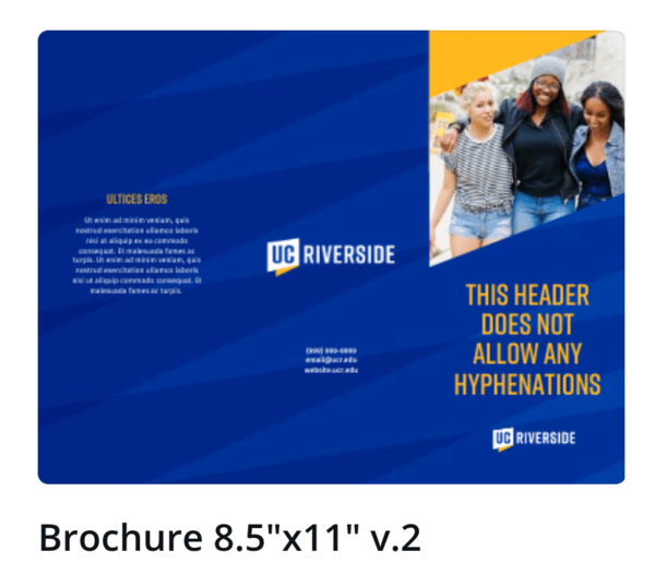 Canva template brochure version 2
