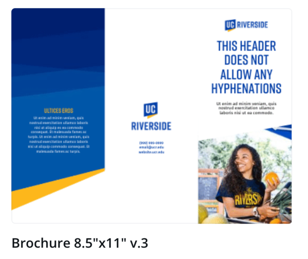 Canva template brochure version 3