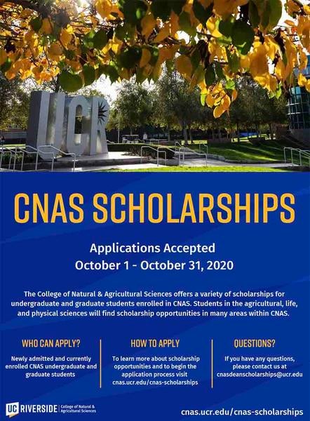 CNAS Scholarships flyer image 2020-2021