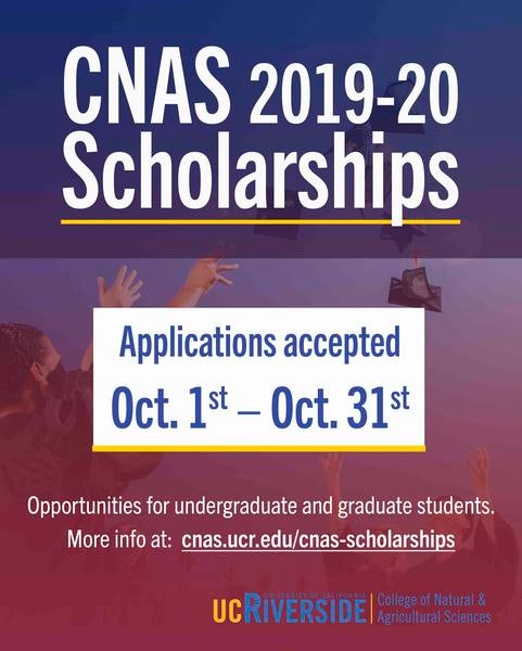 CNAS Scholarships flyer iu 2019