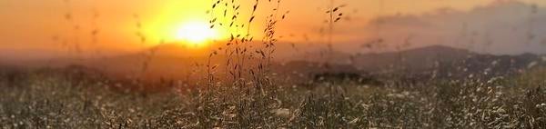 In memoriam / Sunset at Sycamore Canyon, Riverside (c) Ilse Ungeheuer