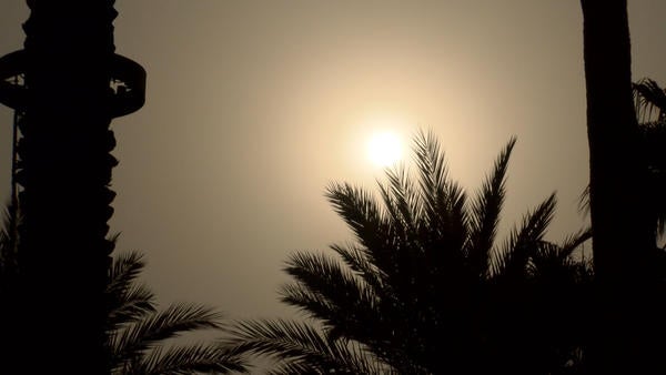 Sun behind palm tree, smokey skies