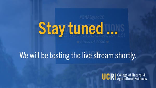 Placeholder image for live embed for Grad celebration
