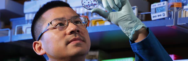 Grad Student David Chen (c) UCR / Stan Lim