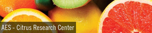 AES Citrus Research Center