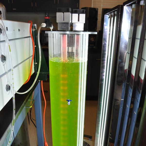 A bioreactor, which is a way to grow algae, typically using light