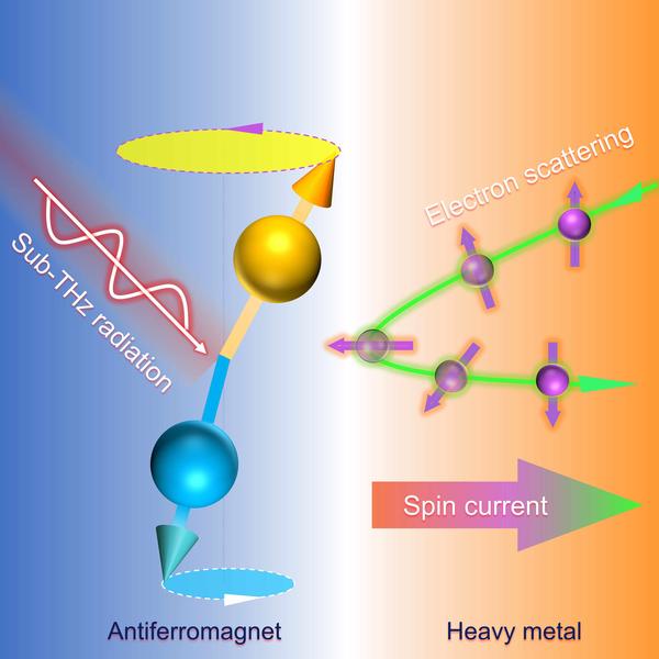 Illustration of antiferromagnetic (AFM) spin pumping