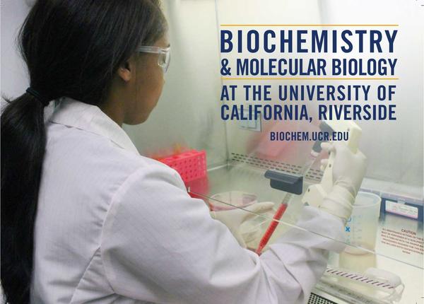 Biochemistry grad brochure | Science Ambassadors