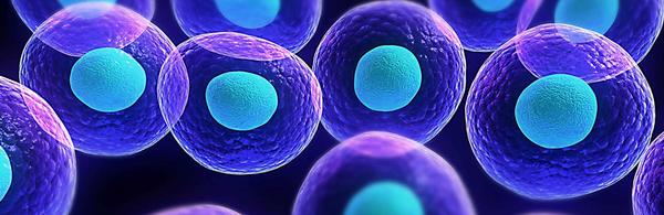 Blue cell formation (c) unsplash