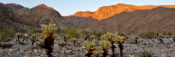 Boyd Deep Canyon Center (c) Mark Chappell