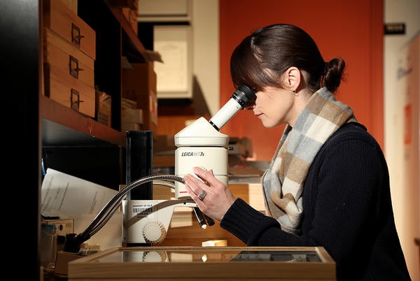 woman looking through microscope in Entomology Museum (c) UCR / CNAS