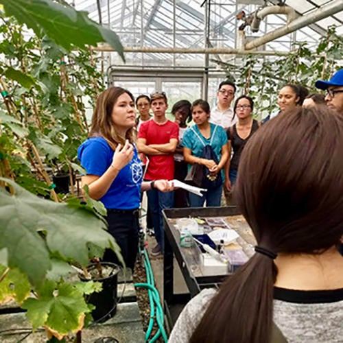 Plant Pathology Day (c) UCR