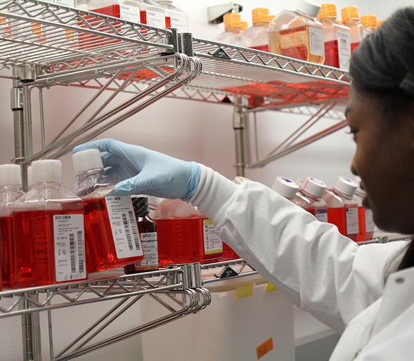 (c) UCR - student looking through chemicals on a shelf