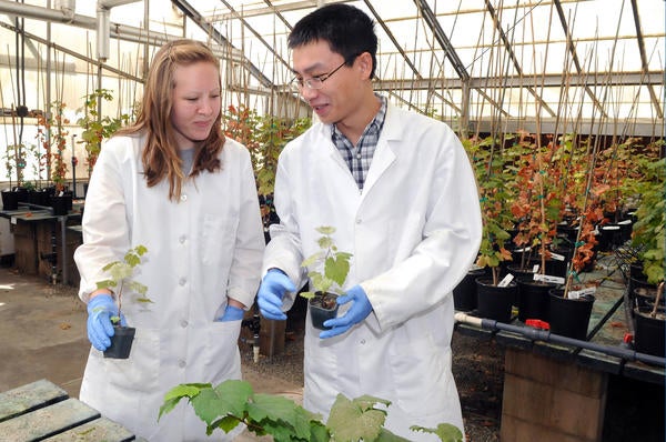 (c) UCR - students holding plant specimens in a greenhouse