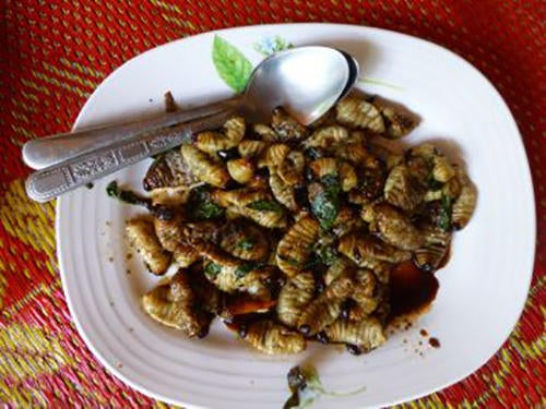 cooked weevil larvae (c) Hoddle Lab / UCR