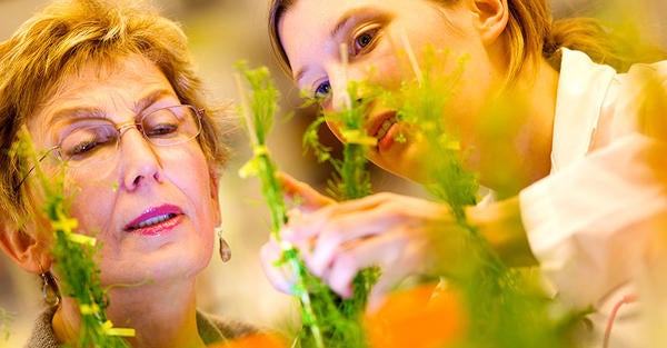 professor and student in plant pathology lab