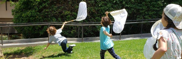 Little Entomologists summer camp (c) UCR Entomology department