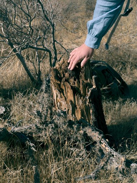 Joshua Tree VOGUE article image 2