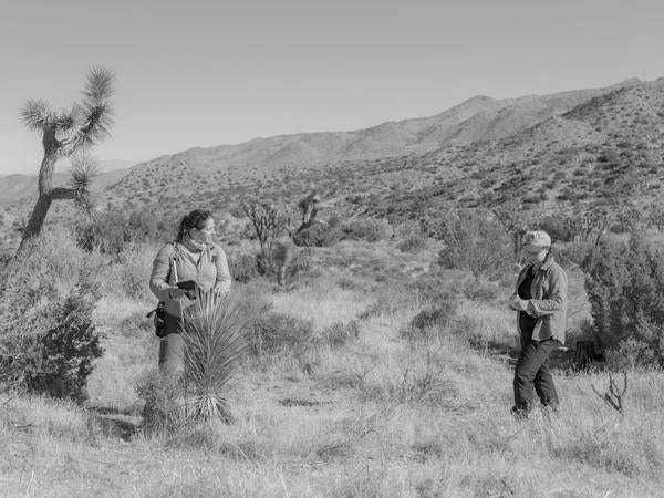 Joshua Tree VOGUE article image 4