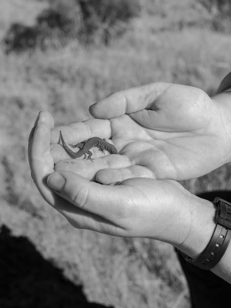 Joshua Tree VOGUE article image 6