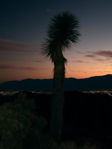Joshua Tree VOGUE article image 7