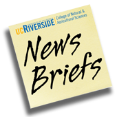 News Briefs