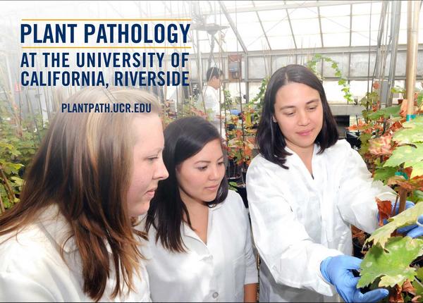 Plant Pathology grad brochure