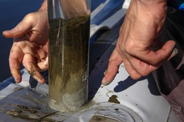 sediment pulled by a corer from the Salton Sea