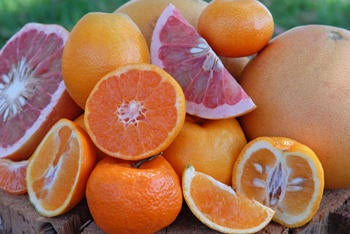 sliced citrus