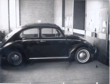 VW Bug